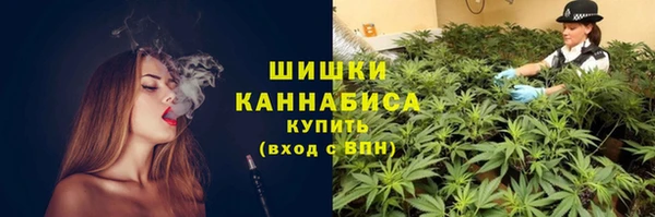 сатива Весьегонск
