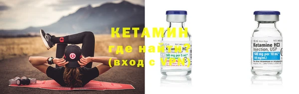 индика Видное