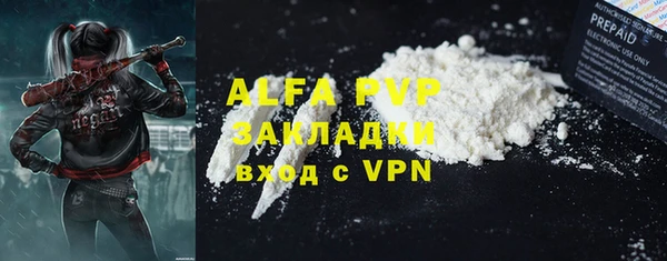 ECSTASY Ветлуга
